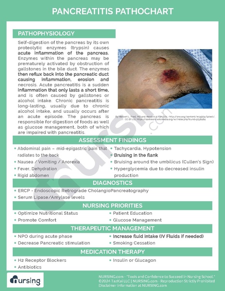 File:Pancreatitis Pathochart.pdf