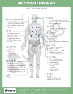 Head to Toe Assessment.pdf