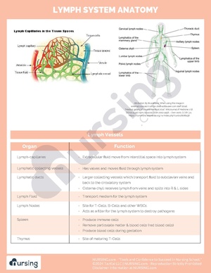Lymph System Anatomy.pdf