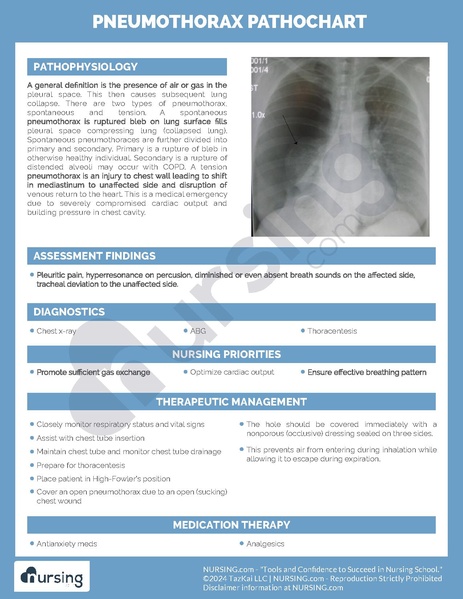 File:Pneumothorax Pathochart.pdf