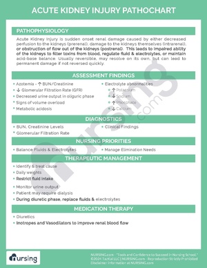 Acute Kidney Injury Pathochart.pdf