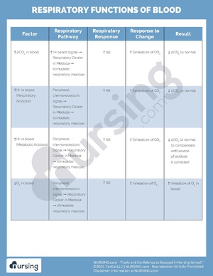 Respiratory Functions of Blood.pdf