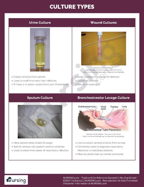 File:Cultures.pdf