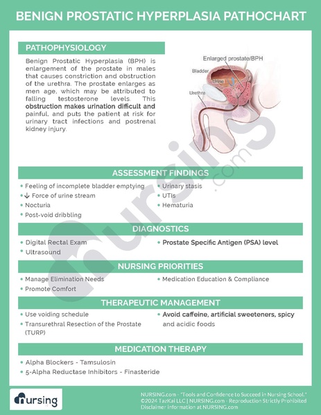 File:Benign Prostatic Hyperplasia Pathochart.pdf
