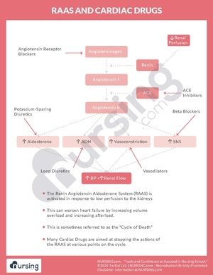 RAAS and Cardiac Drugs.pdf