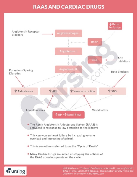 File:RAAS and Cardiac Drugs.pdf