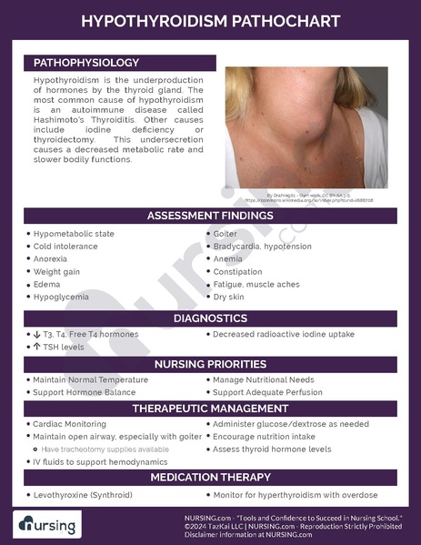 File:Hypothyroidism Pathochart.pdf