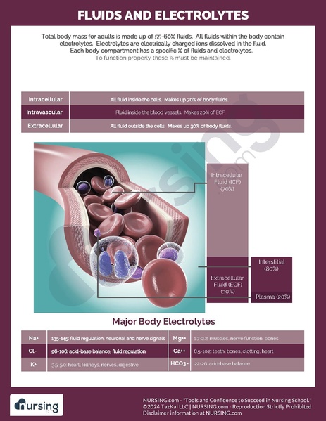 File:Fluid and Electrolytes.pdf