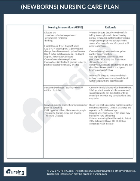 File:Example Care Plan Newborns.pdf