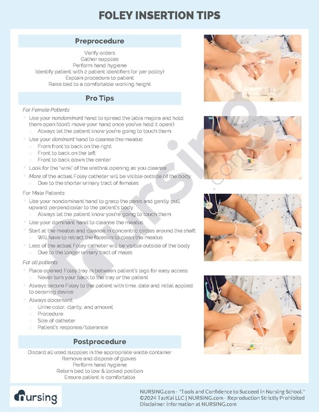 File:Foley insertion.pdf