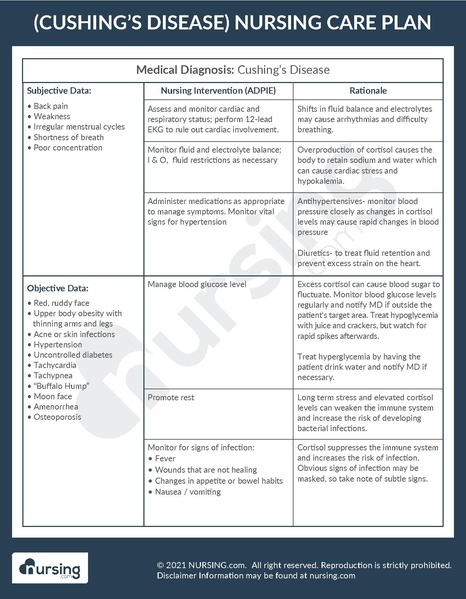 File:Example Care Plan Cushing’s Disease.pdf