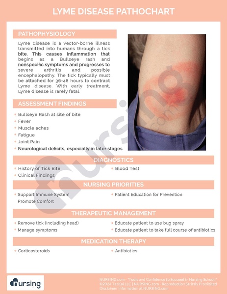 File:Lyme Disease Pathochart.pdf