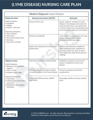 Example Care Plan Lyme Disease.pdf