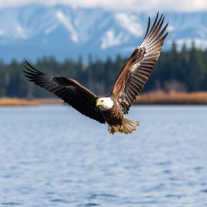 Img 1768420170 5f4a224e.png