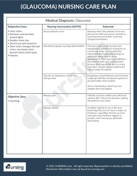 File:Care Plan Example Glaucoma.pdf