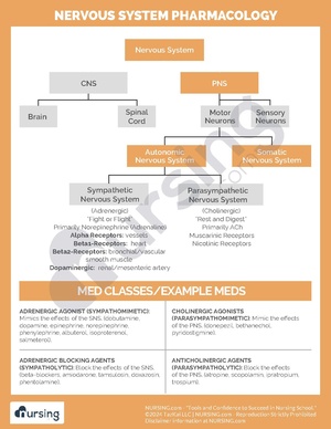 Nervous System Pharmacology.pdf
