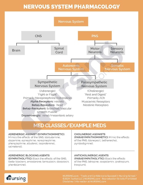 File:Nervous System Pharmacology.pdf