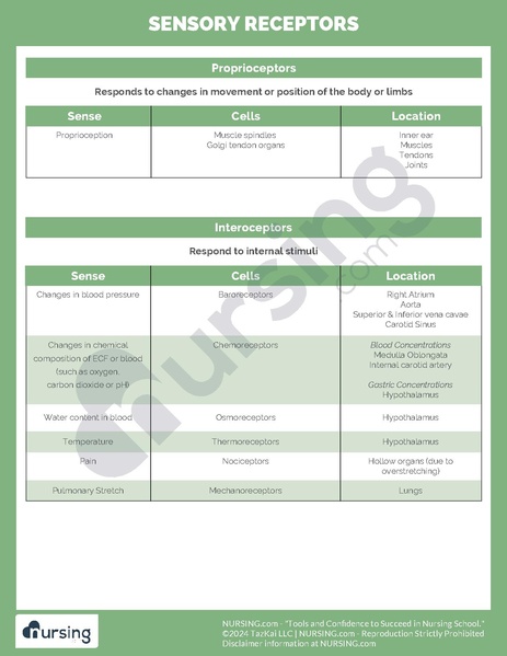 File:Sensory Receptors.pdf