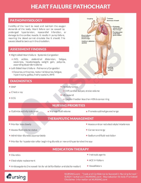File:Heart Failure Pathochart.pdf