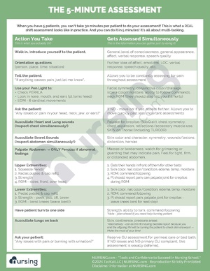 The 5-Minute Assessment.pdf