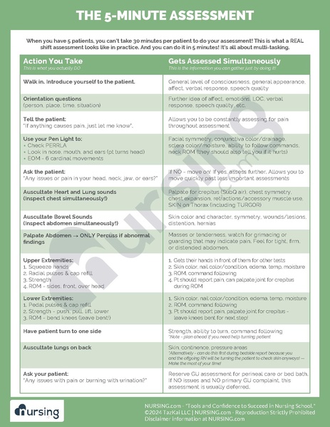 File:The 5-Minute Assessment.pdf