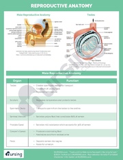 ← previous page