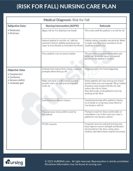File:Example Care Plan Risk for Fall.pdf