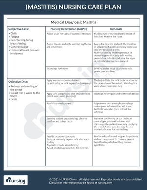 Example Care Plan Mastitis.pdf