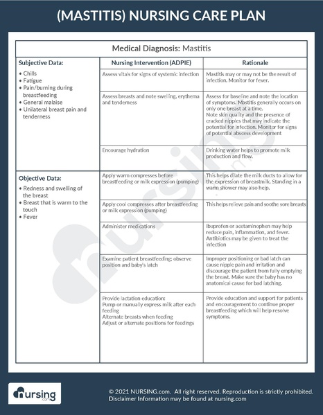 File:Example Care Plan Mastitis.pdf