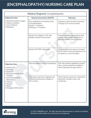 Example Care Plan Encephalopathy.pdf