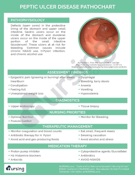 File:Peptic Ulcer Disease Pathochart.pdf