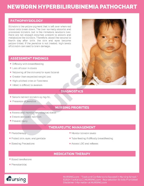 File:Newborn Hyperbilirubinemia Pathochart.pdf