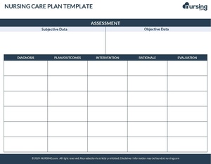Blank Nursing Care Plan CS.pdf
