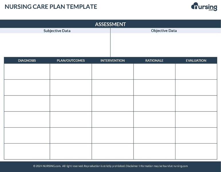 File:Blank Nursing Care Plan CS.pdf