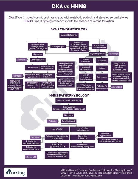 File:DKA vs HHNS.pdf