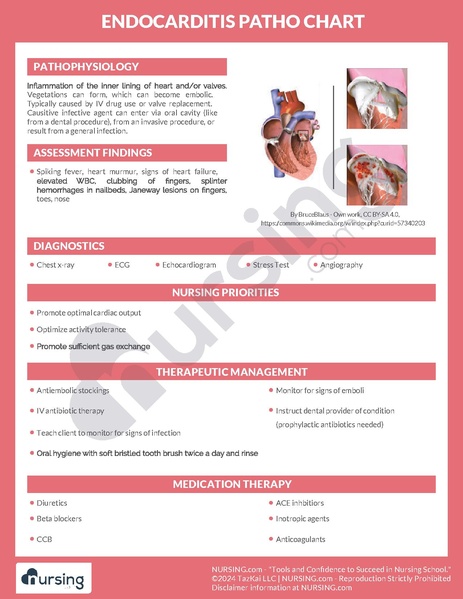 File:Endocarditis Pathochart.pdf