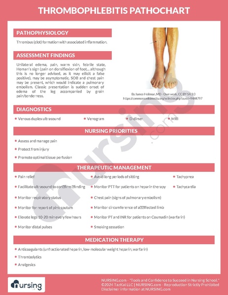 File:Thrombophlebitis Pathochart.pdf